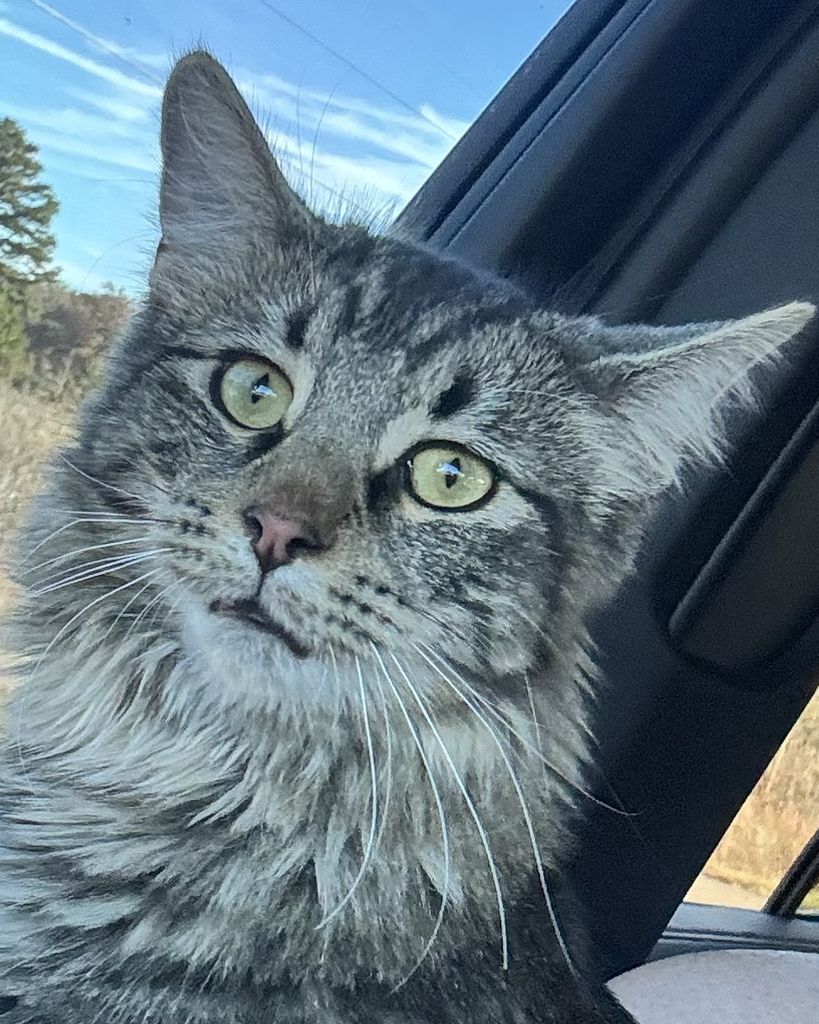 Jasper Parrish Profile Photo