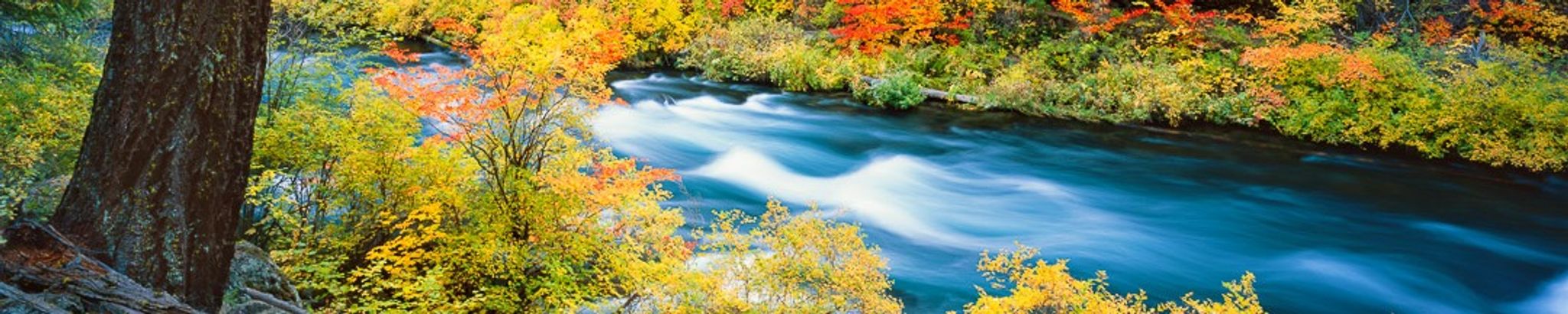 Cover for Antonio Alamillo's Obituary