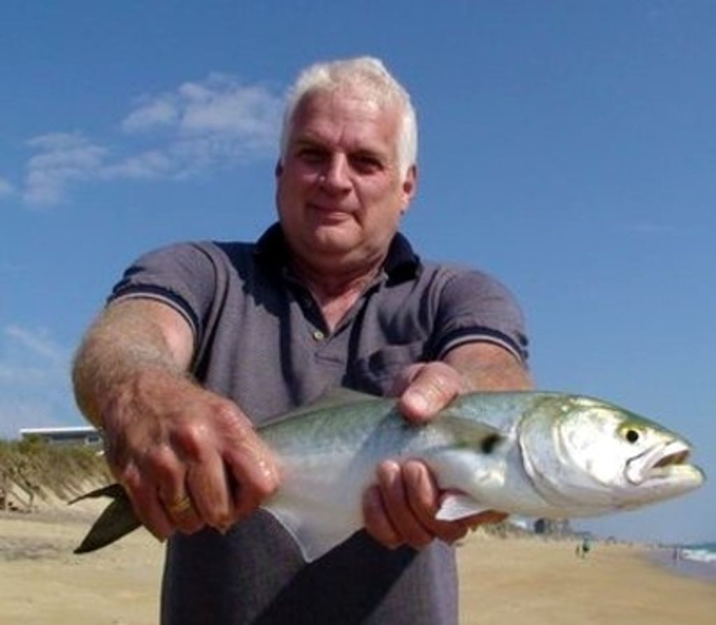 David M Delong Profile Photo