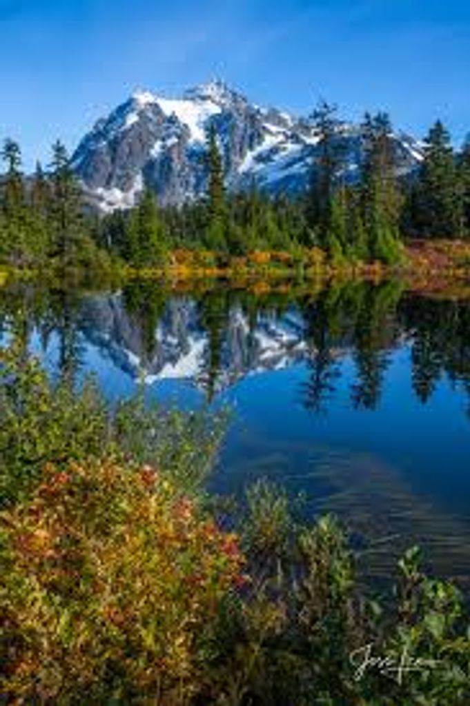 Jerry Lee Whittington Profile Photo