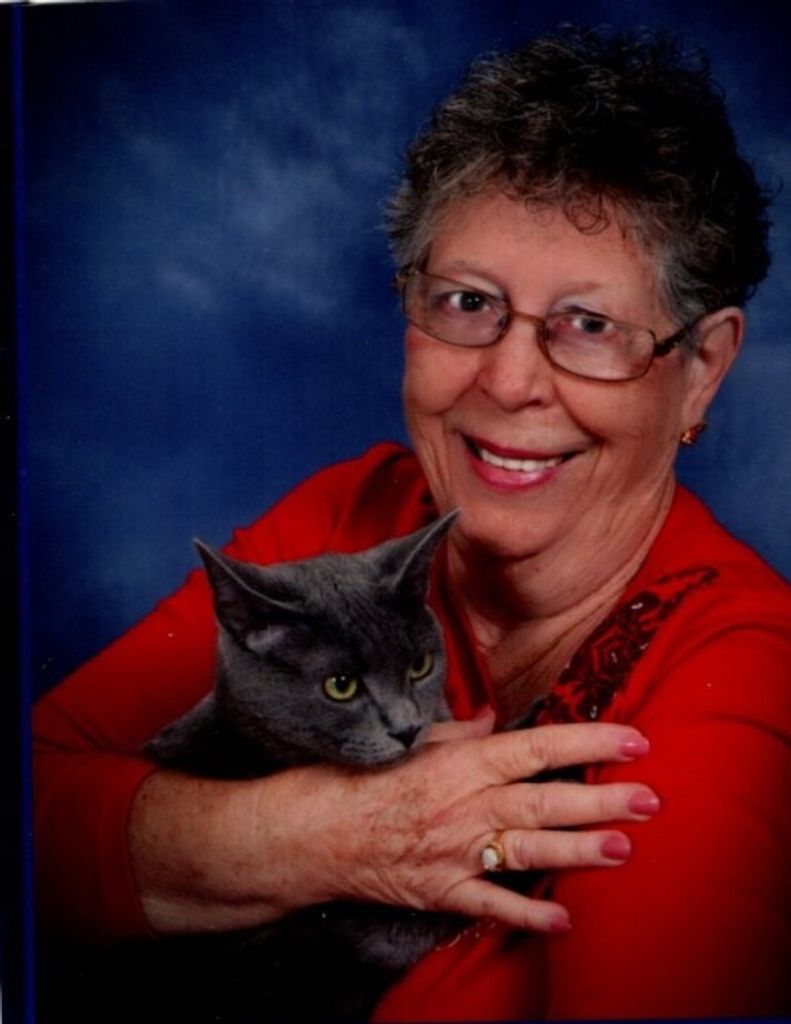 Judith A. Scheno Profile Photo