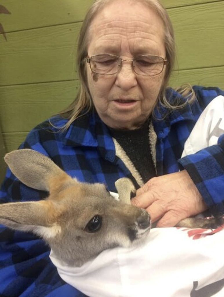 Sheila D. Hunnicutt Profile Photo