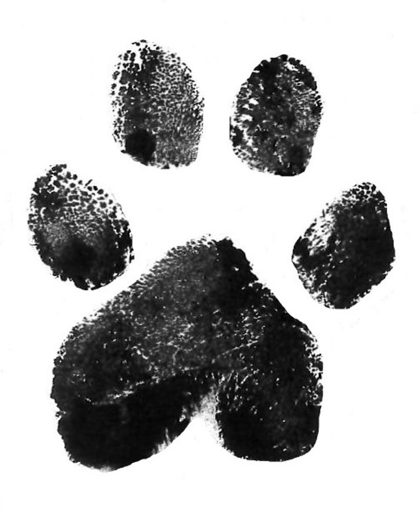 Marley Parker Profile Photo