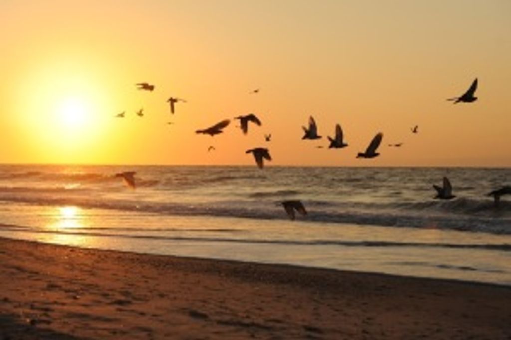 David Demarse Profile Photo