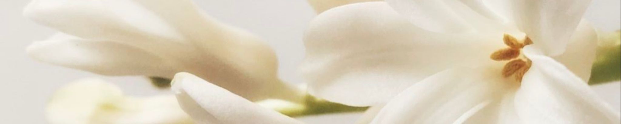 Cover photo for Lisa Kay Burnette's Obituary