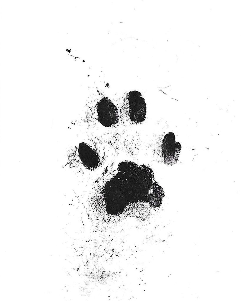 Leo Compton Profile Photo