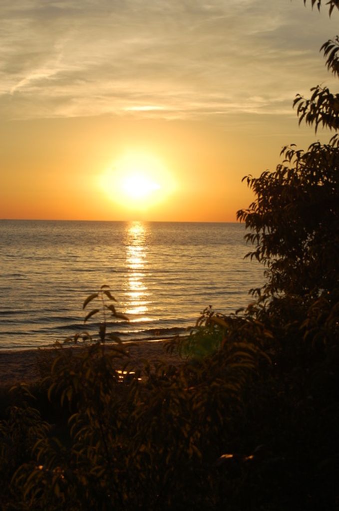 Joseph James Lakatos