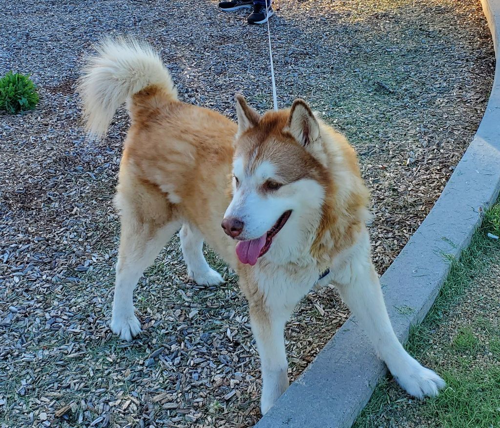 Echo Profile Photo