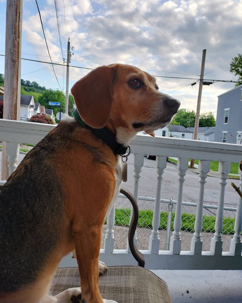 Darwin Walker Profile Photo