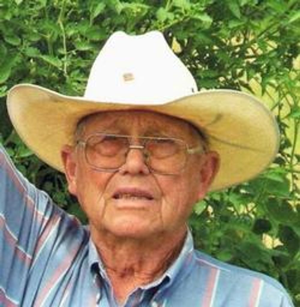 Herbert Ahrens Profile Photo