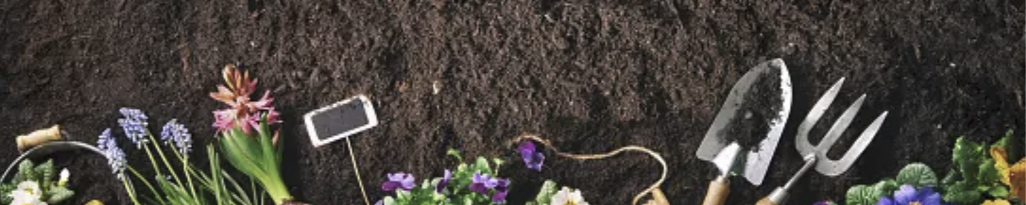 Cover photo for Anne Desroches's Obituary