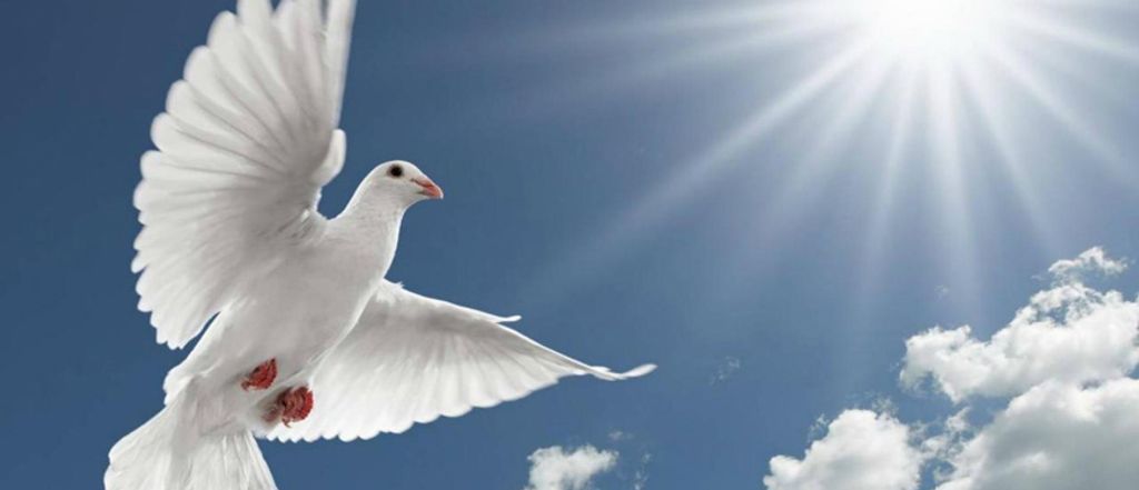 Calvin Lee Burney Profile Photo