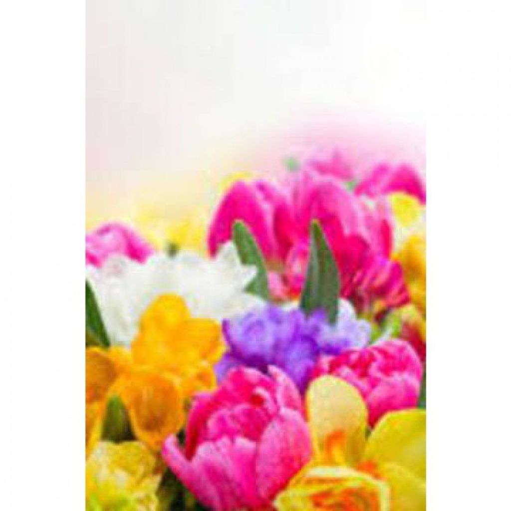 Maria Cecilia Martin Profile Photo