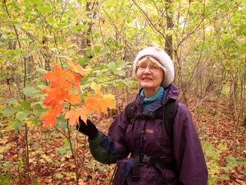 Eva Kathleen Orr