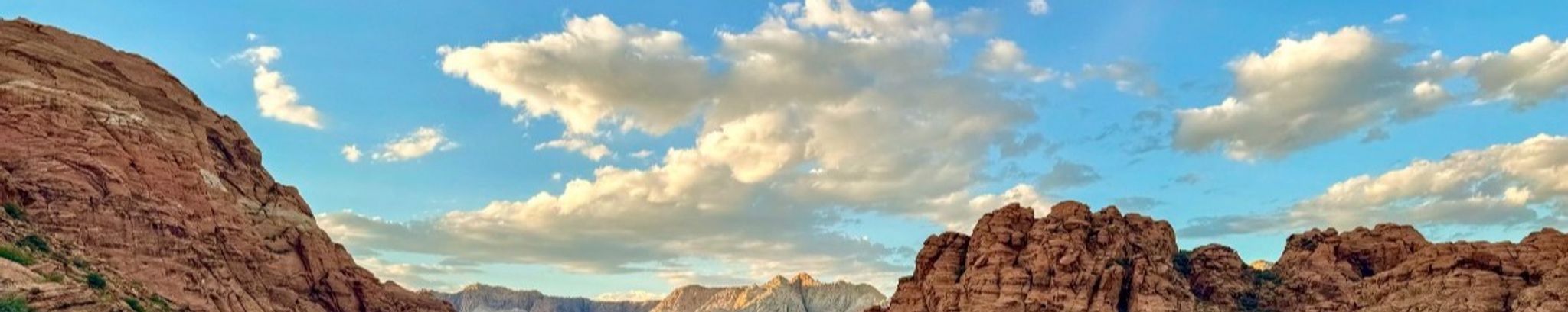 Cover for James D Miller's Obituary