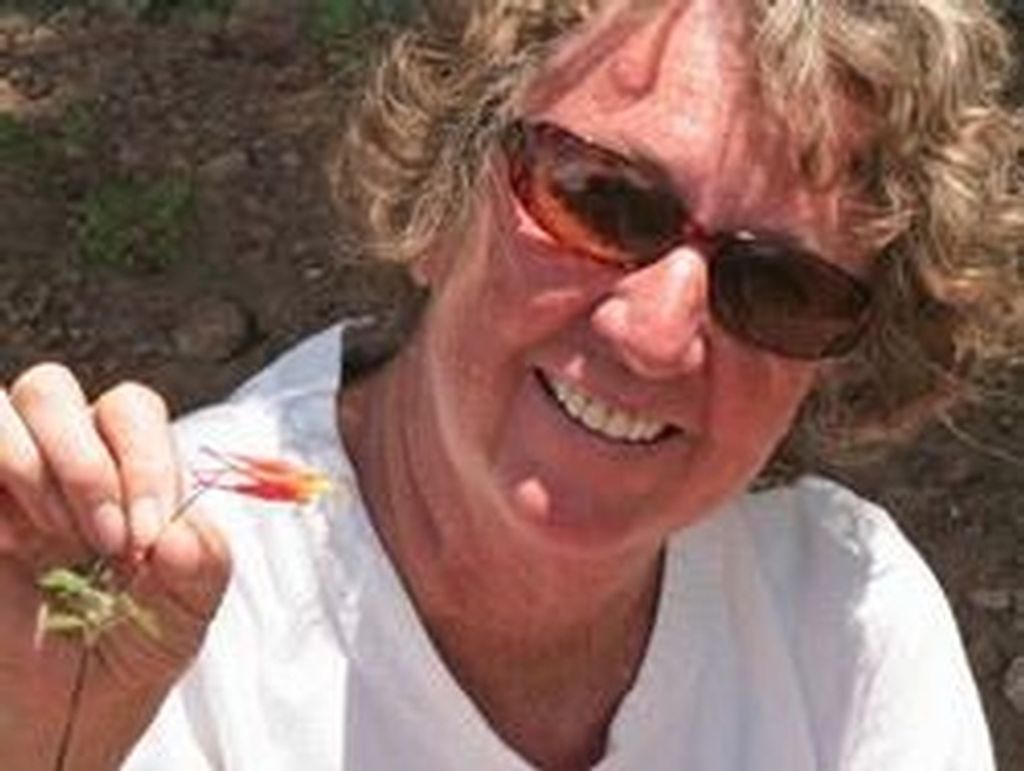 Jean Weiss Profile Photo