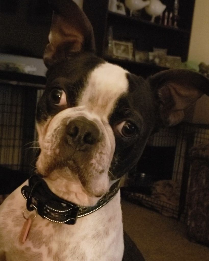 Gypsy Garvin Profile Photo