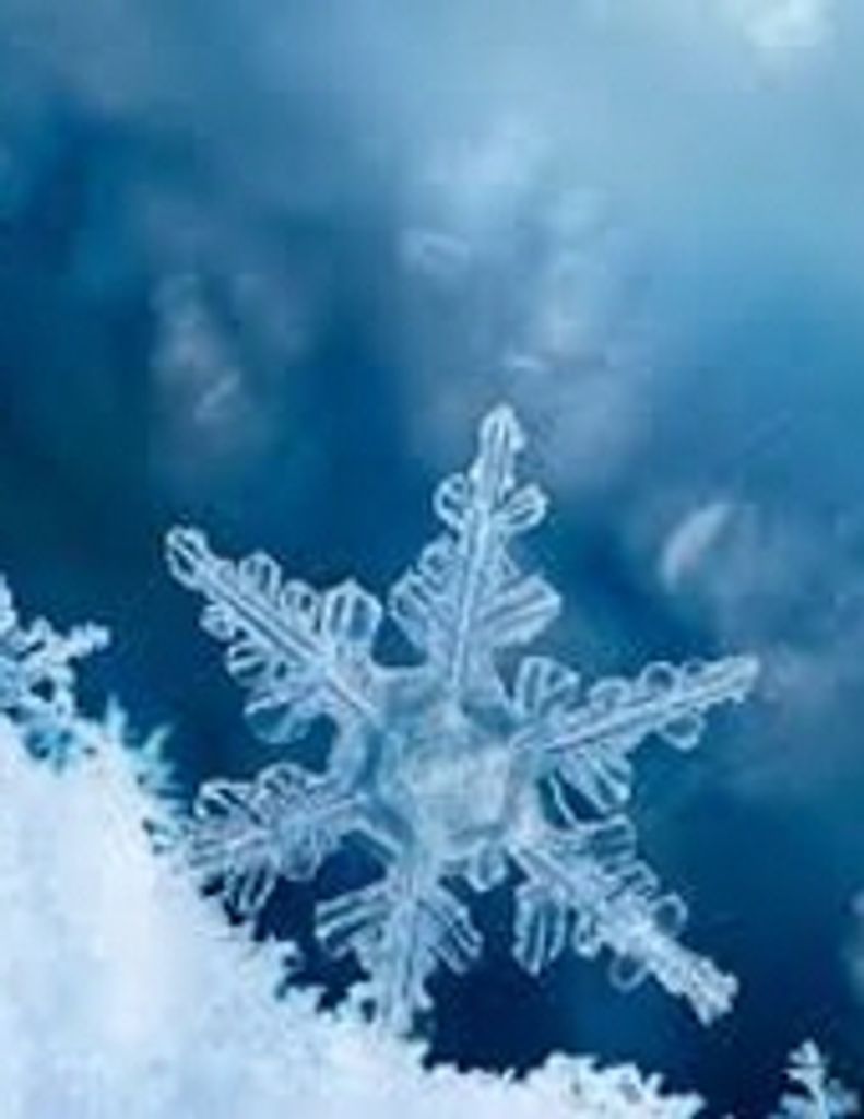 Jacqueline Zilberfarb