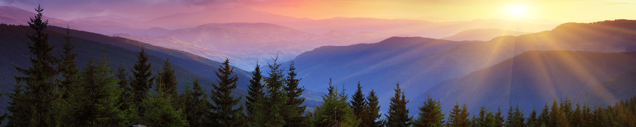 Cover for Virgil David Whitener's Obituary