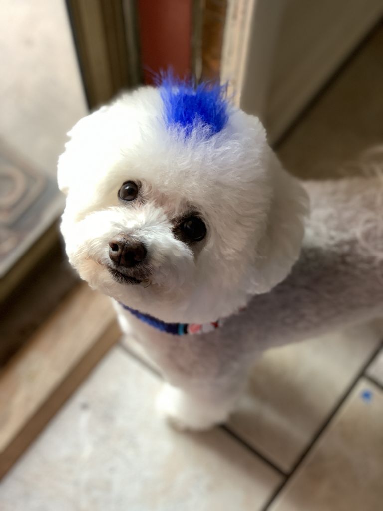 Nala Profile Photo