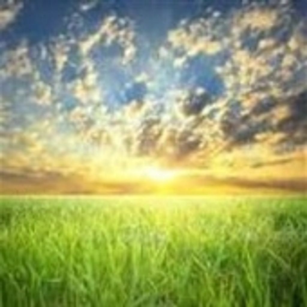 Fernando Calimano-Ramos