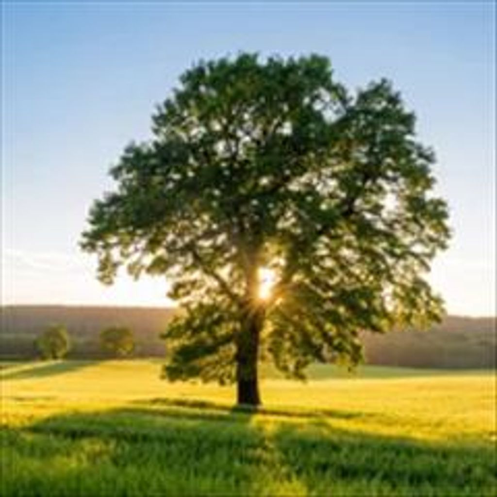 Reuben J. Heatwole,, Jr.