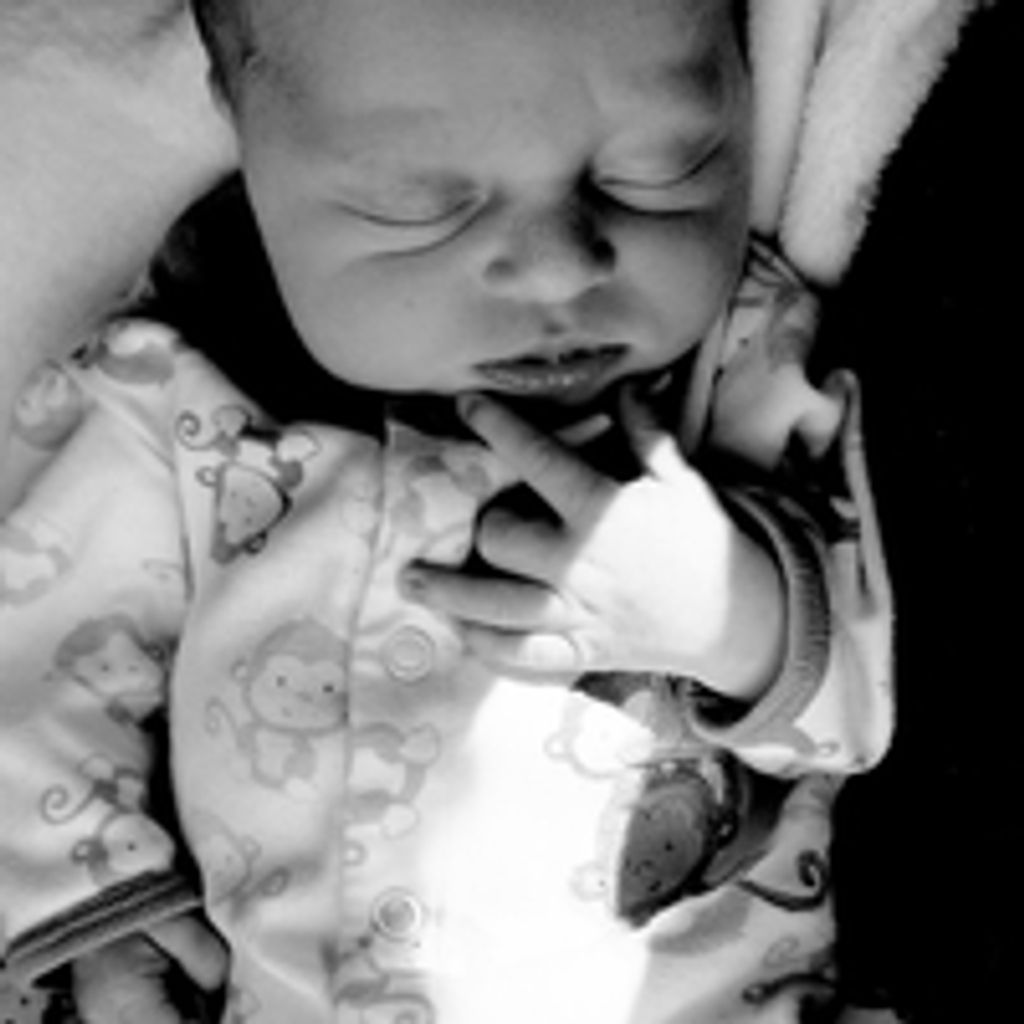 Tristan  Alexander Phillips  Jr.