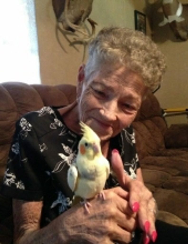 Mary Ann Hall Profile Photo