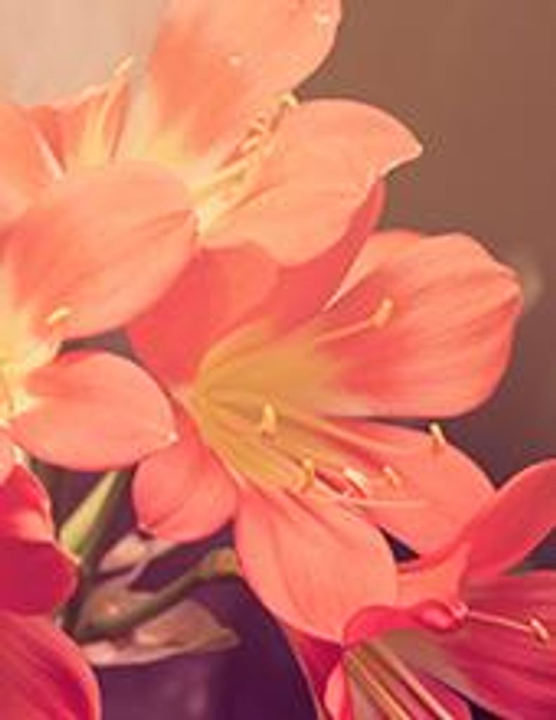 Margarita Lopez Profile Photo