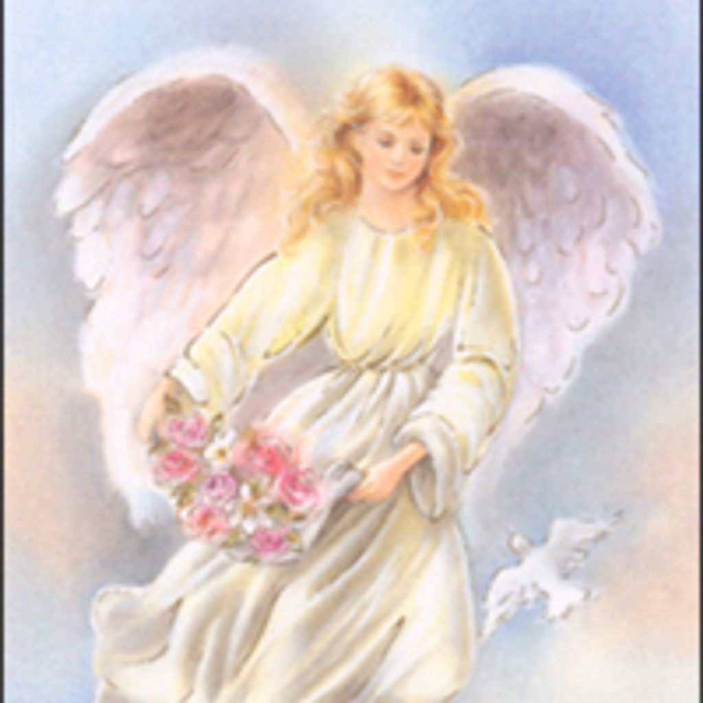 Jeanette M Sottile
