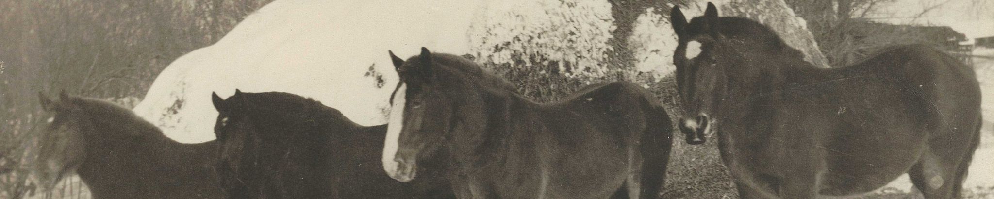Cover photo for Ralph Beck's Obituary