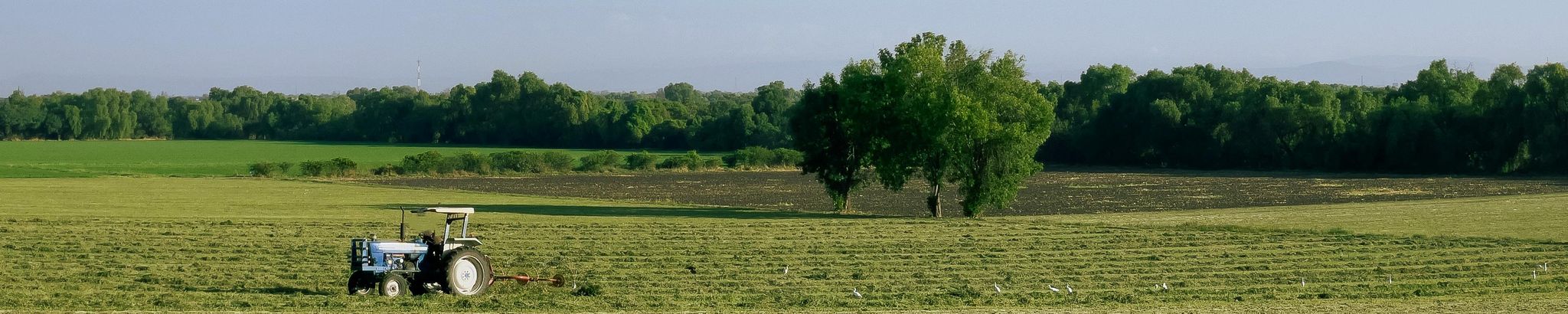 Cover for Johnny Lowe's Obituary