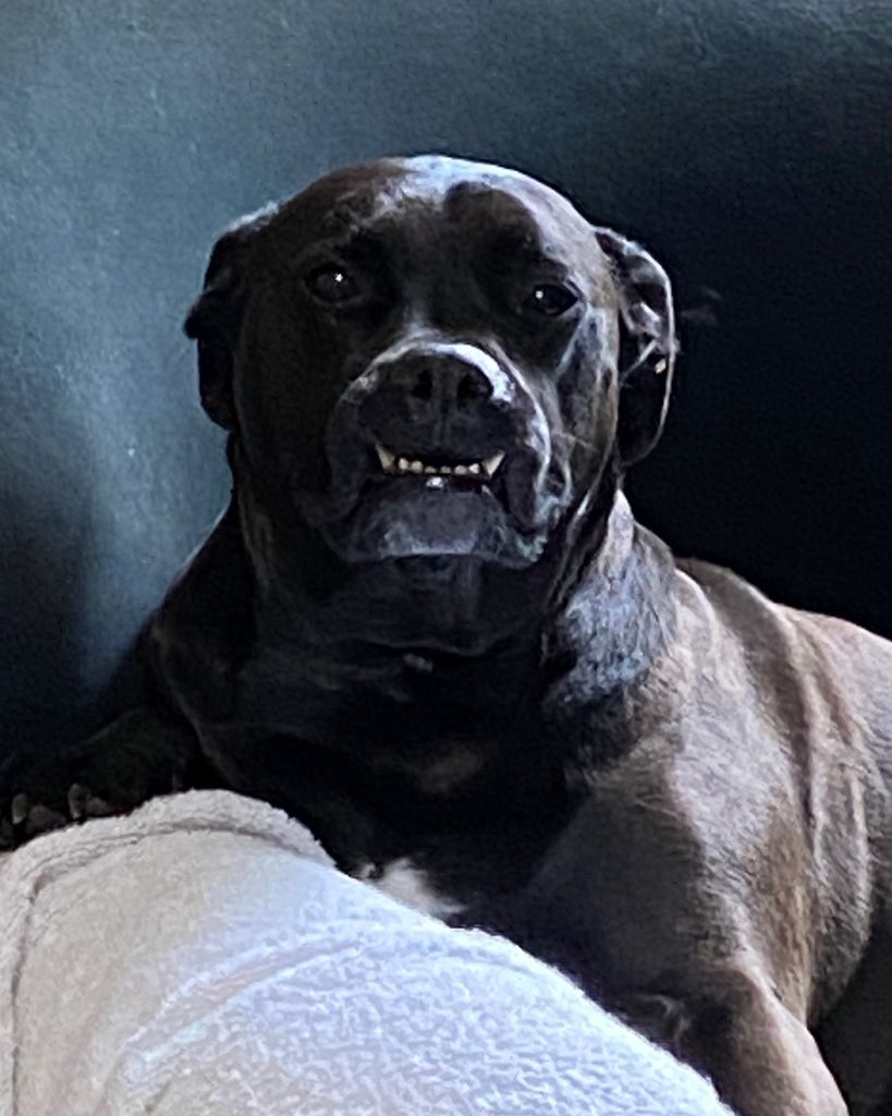 Jack Ingoglia Profile Photo