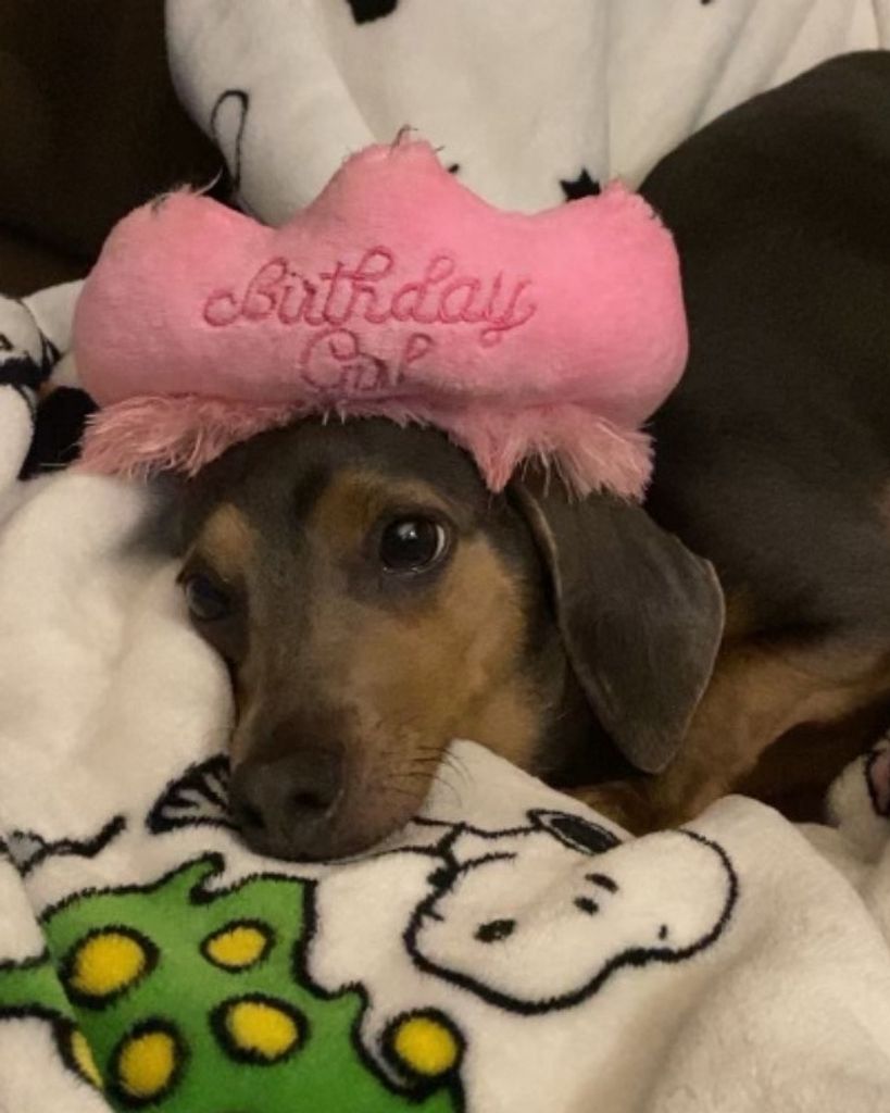 Luna Caputo Profile Photo