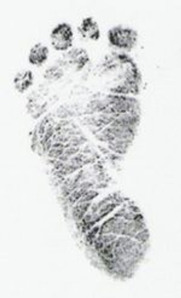 Liam Bradley Schadle