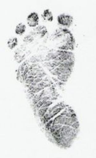 Liam Bradley Schadle Profile Photo