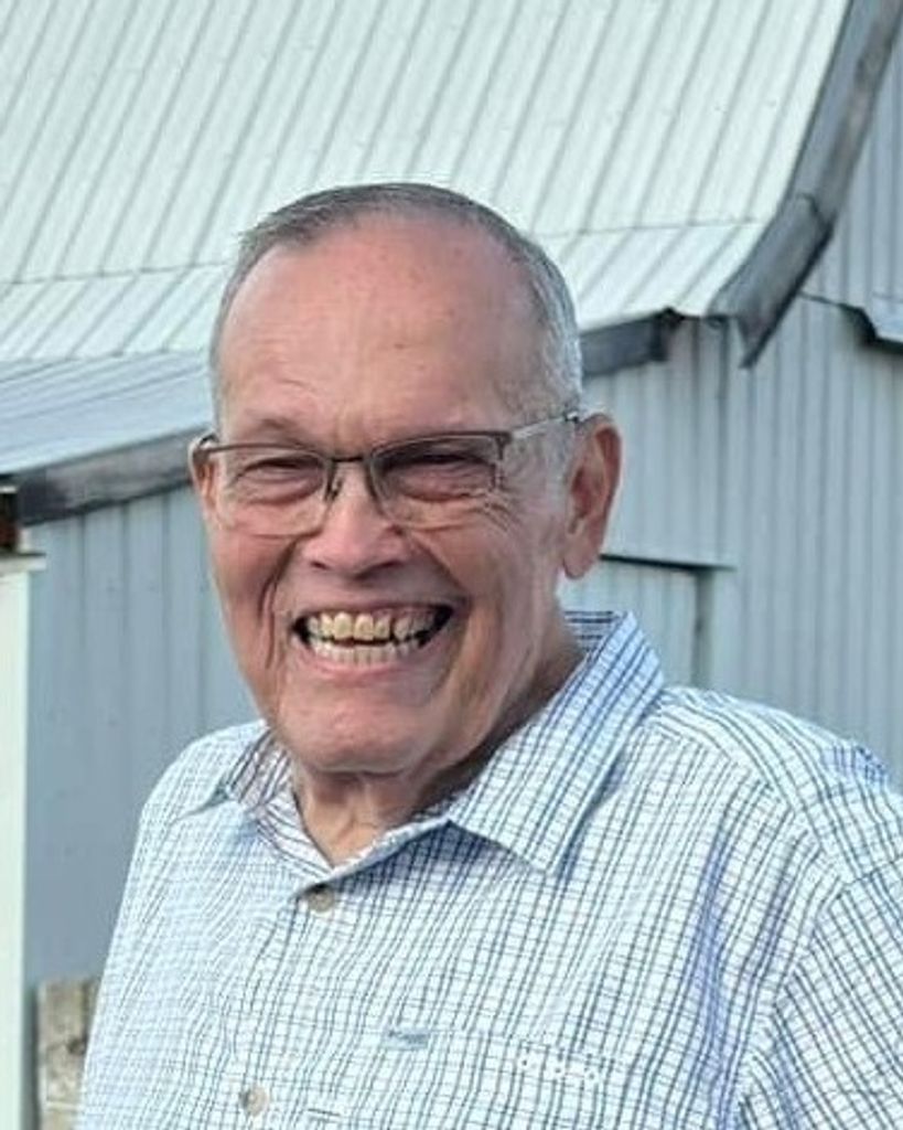 David B Pfaff