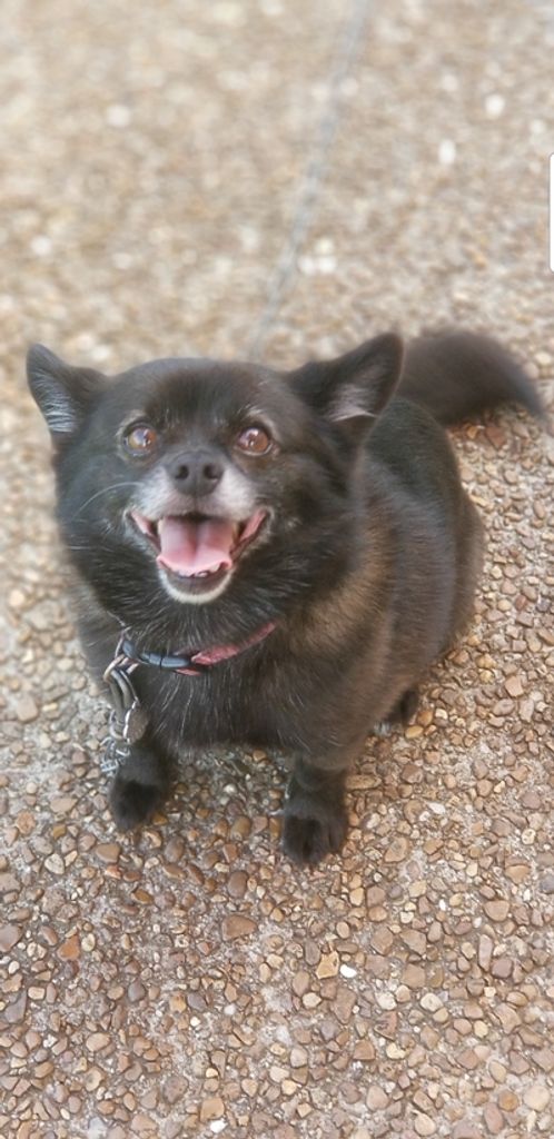 Minnie Dotson Profile Photo