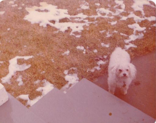 Maxine O Layer photo gallery thumbnail 9 of 85