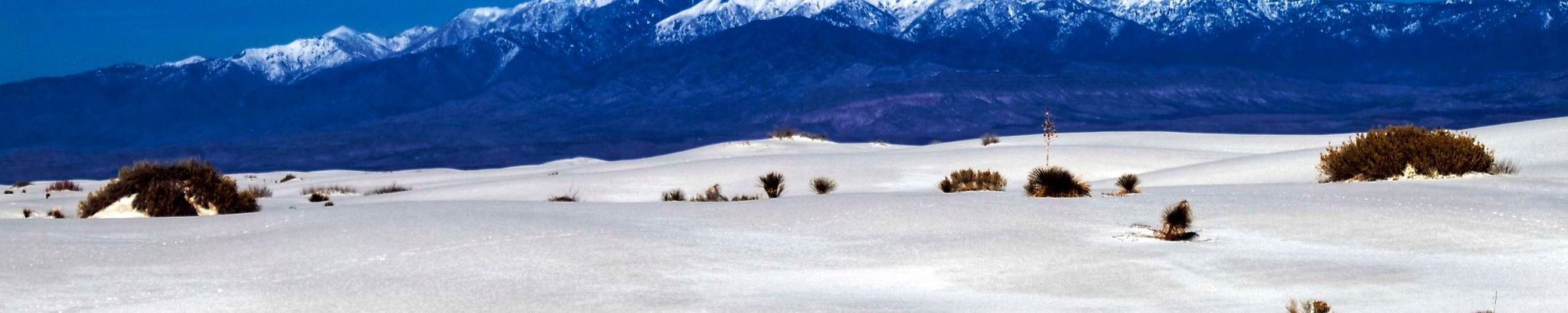 Cover for Edward Gary Gum's Obituary