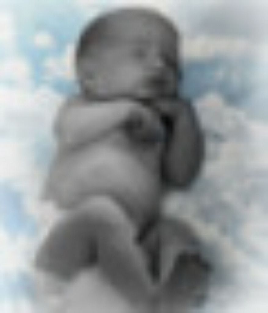 Gabrien Bradley Weaver