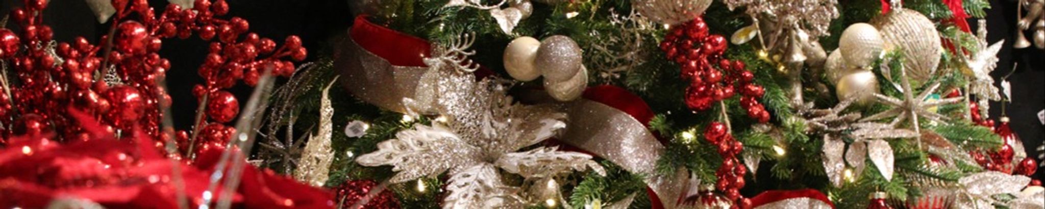 Cover for Cynthia Kennedy's Obituary