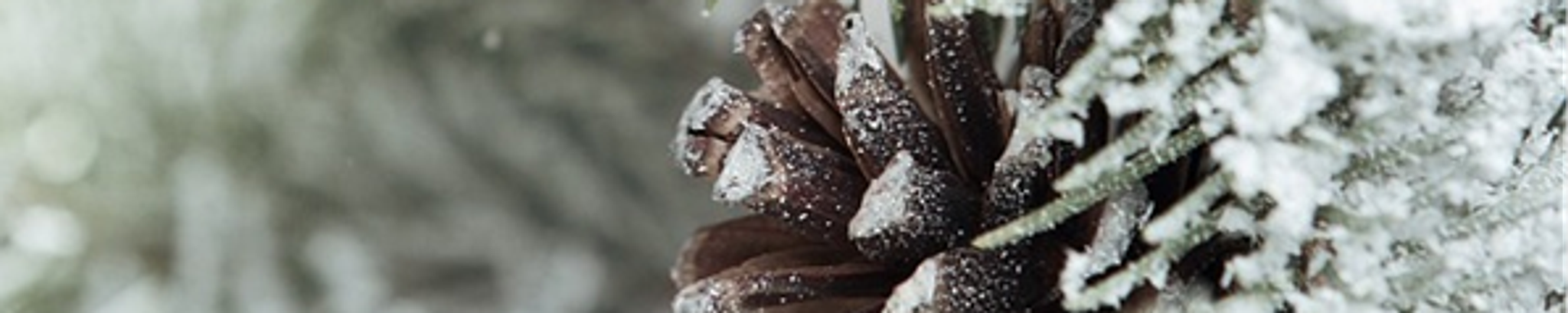 Cover for Willard Sanders's Obituary