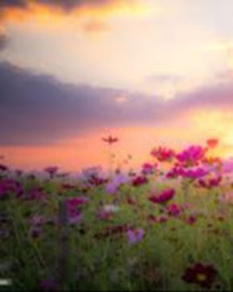 Rose Basco Profile Photo