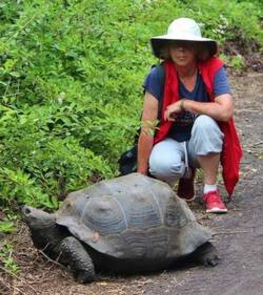 Mary Nell "Nello" Boswell