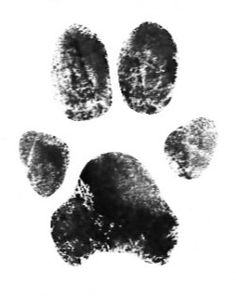 Sadie Howells Profile Photo