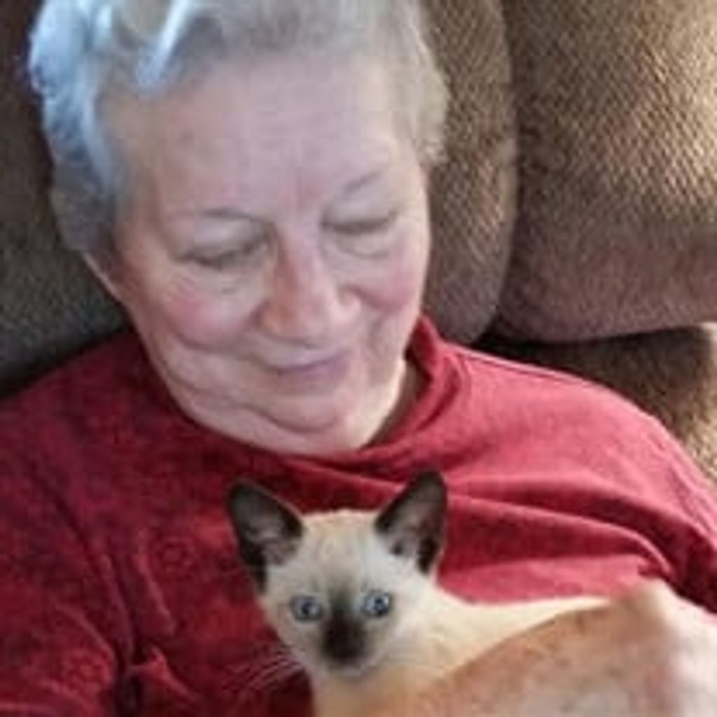 Gloria L. Wilcoxson Profile Photo