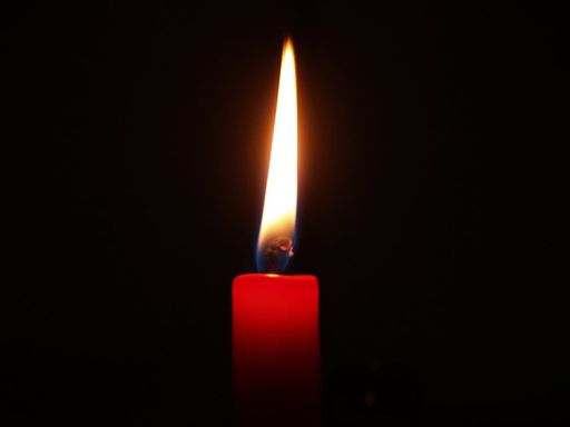 Mary Dianne Gaudin's obituary image