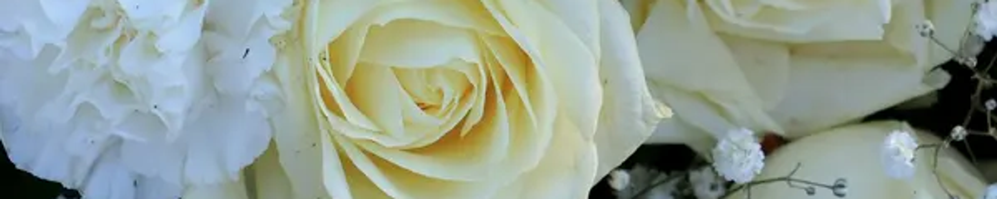 Cover for Rita Ann Goodman's Obituary