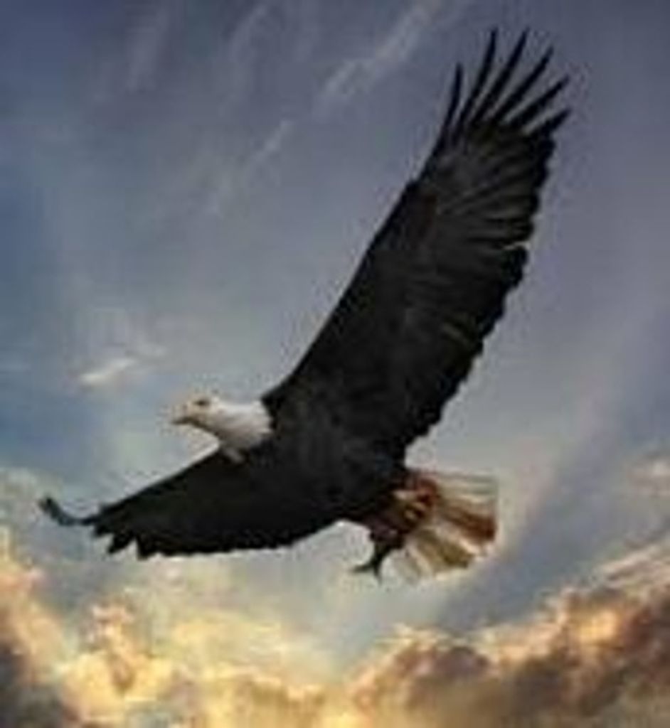 Anthony Tarasiewicz "Tony"